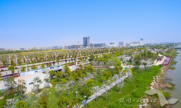 十里櫻花園
